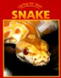 Caring for your snake