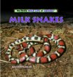 Milk snakes