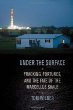 Under the surface : fracking, fortunes, and the fate of the Marcellus Shale