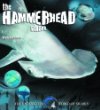 The hammerhead shark