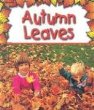 Autumn leaves