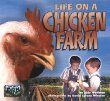 Life on a chicken farm
