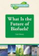 What is the future of biofuels?