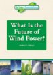 What is the future of wind power?