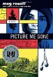 Picture me gone : a novel