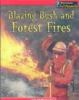 Blazing bush and forest fires
