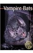 Vampire bats