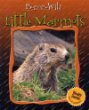 Little marmots