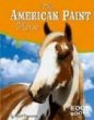 The American paint horse