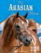 The Arabian horse