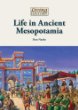 Life in Ancient Mesopotamia