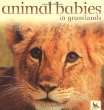 Animal babies in grasslands