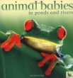 Animal babies in ponds and rivers