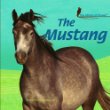 The mustang