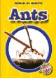 Ants