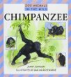 Chimpanzee