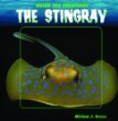 The stingray