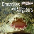 Crocodiles and alligators