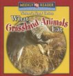 What grassland animals eat