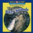 What river animals eat