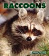 Raccoons