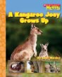 A kangaroo joey grows up