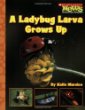 A ladybug larva grows up