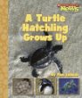 A turtle hatchling grows up