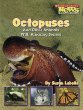 Octopuses and other animals with amazing senses