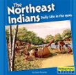 The Northeast Indians : daily life in the 1500s