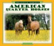 American quarter horses
