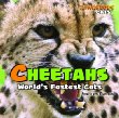 Cheetahs : world's fastest cats