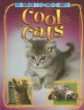Cool cats