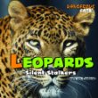 Leopards : silent stalkers