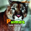 Pumas : lone hunters