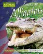 American alligators : freshwater survivors