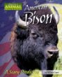 American bison : a scary prediction