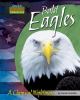 Bald eagles : a chemical nightmare