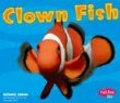 Clown fish