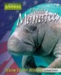 Florida manatees : warm water miracles