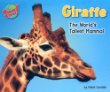 Giraffe : the world's tallest mammal