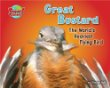 Great bustard : the world's heaviest flying bird