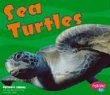 Sea turtles