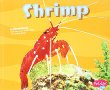 Shrimp