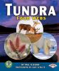 Tundra food webs