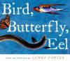 Bird, butterfly, eel