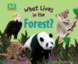 What lives in the forest?