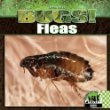 Fleas