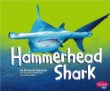 Hammerhead shark