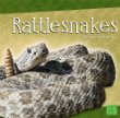 Rattlesnakes